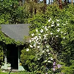Lodge Letniskowy Na Kaszubach Lub Z Kominkiem