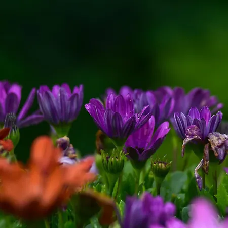 Letniskowy Na Kaszubach Lub Z Kominkiem