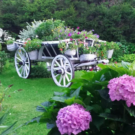 Letniskowy Na Kaszubach Lub Z Kominkiem Lodge