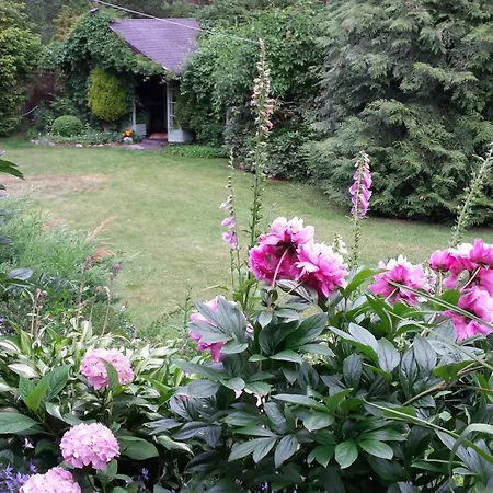 Orman Evi Letniskowy Na Kaszubach Lub Z Kominkiem Puck