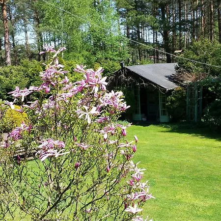 Orman Evi Letniskowy Na Kaszubach Lub Z Kominkiem