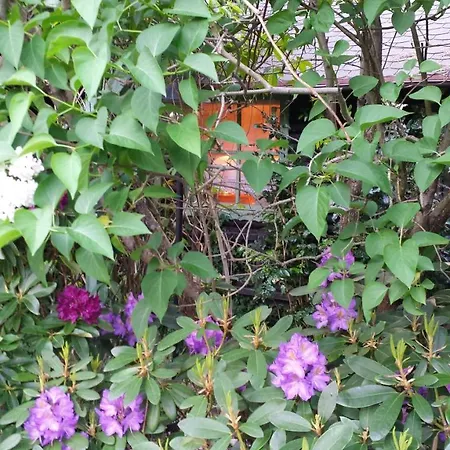 Letniskowy Na Kaszubach Lub Z Kominkiem Orman Evi