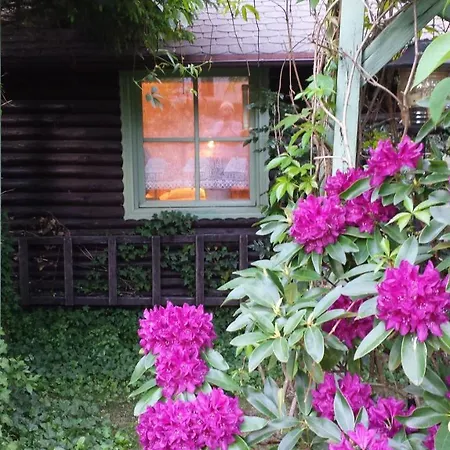 Letniskowy Na Kaszubach Lub Z Kominkiem * Lesniewo (Pomerania)