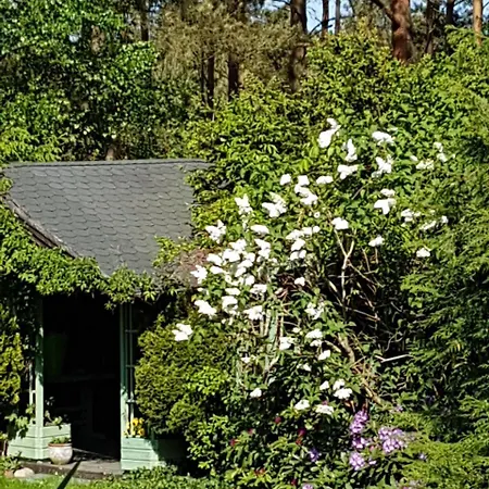 Orman Evi Letniskowy Na Kaszubach Lub Z Kominkiem