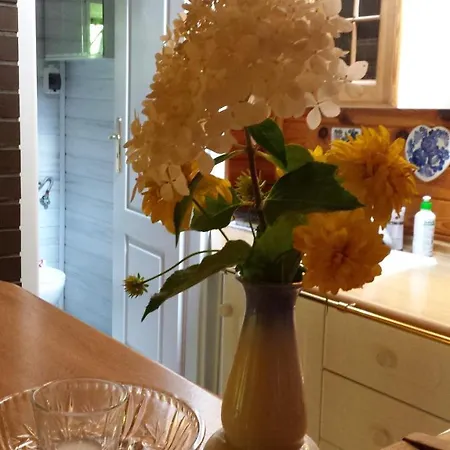 Letniskowy Na Kaszubach Lub Z Kominkiem Orman Evi *