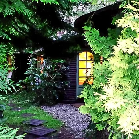 Letniskowy Na Kaszubach Lub Z Kominkiem Orman Evi *