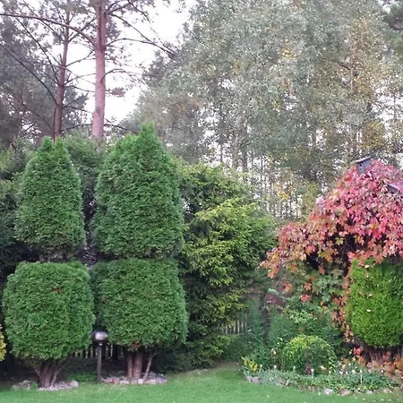 Letniskowy Na Kaszubach Lub Z Kominkiem Orman Evi *