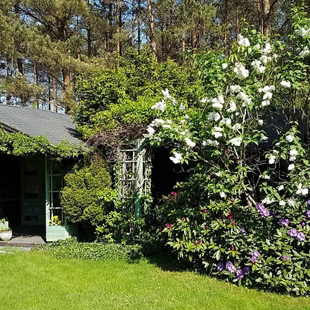 Letniskowy Na Kaszubach Lub Z Kominkiem