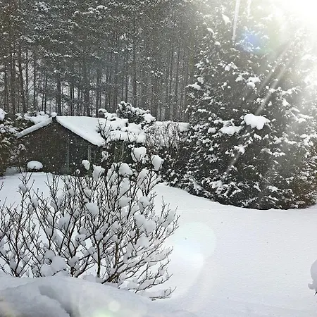 Letniskowy Na Kaszubach Lub Z Kominkiem Chata Puck