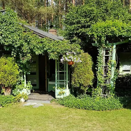 Orman Evi Letniskowy Na Kaszubach Lub Z Kominkiem