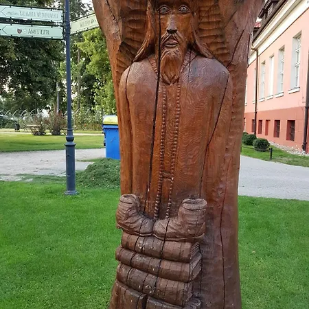 Orman Evi Letniskowy Na Kaszubach Lub Z Kominkiem