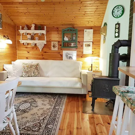 Orman Evi Letniskowy Na Kaszubach Lub Z Kominkiem *