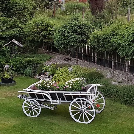 Letniskowy Na Kaszubach Lub Z Kominkiem Orman Evi