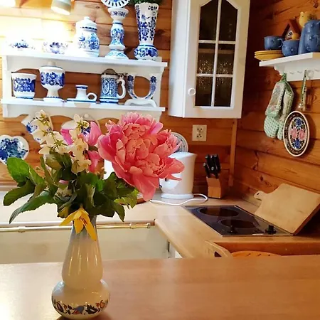 Orman Evi Letniskowy Na Kaszubach Lub Z Kominkiem *