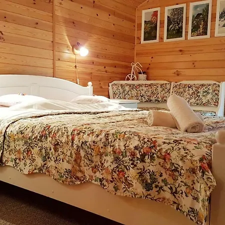 Orman Evi Letniskowy Na Kaszubach Lub Z Kominkiem