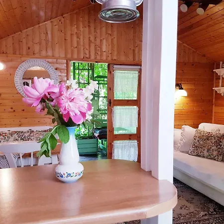 Orman Evi Letniskowy Na Kaszubach Lub Z Kominkiem *