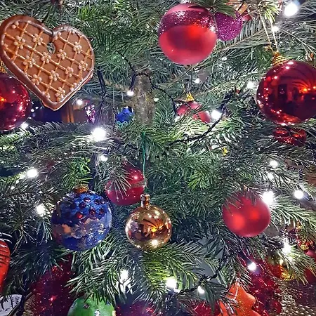 Letniskowy Na Kaszubach Lub Z Kominkiem Chata Lesniewo (Pomerania)