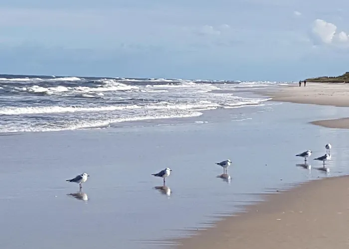 Letniskowy Na Kaszubach Lub Z Kominkiem * Puck