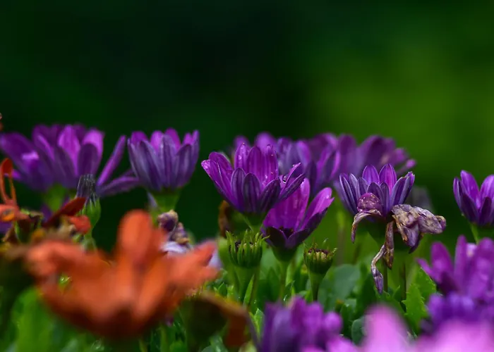 Letniskowy Na Kaszubach Lub Z Kominkiem