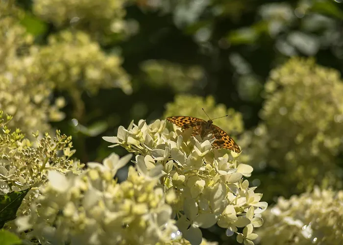 Letniskowy Na Kaszubach Lub Z Kominkiem Alojamento de Turismo Selvagem *