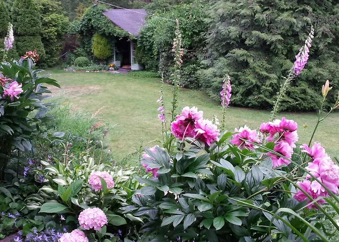 Alojamento de Turismo Selvagem Letniskowy Na Kaszubach Lub Z Kominkiem Puck