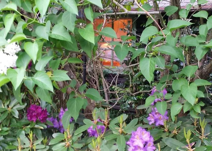 Letniskowy Na Kaszubach Lub Z Kominkiem Alojamento de Turismo Selvagem