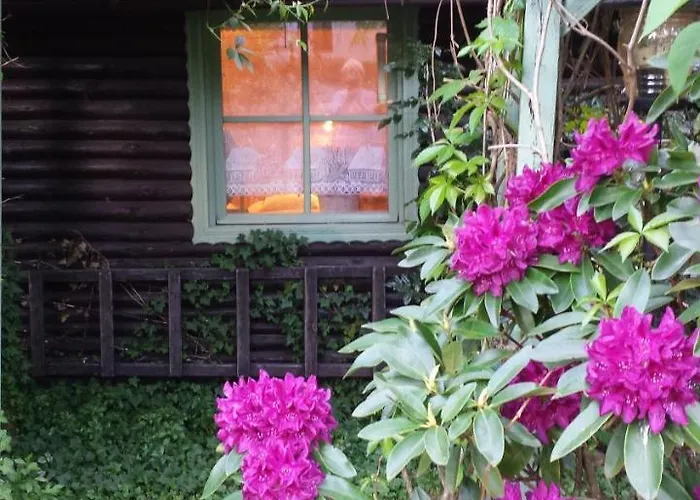 Letniskowy Na Kaszubach Lub Z Kominkiem * Puck