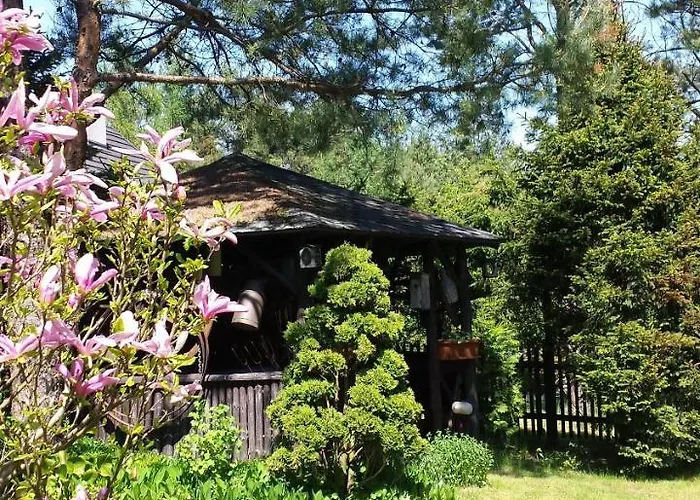 Letniskowy Na Kaszubach Lub Z Kominkiem Alojamento de Turismo Selvagem *