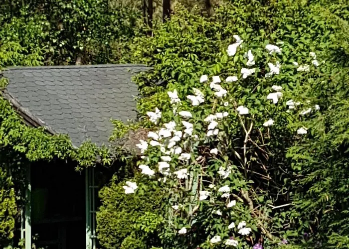 Gerendaház Letniskowy Na Kaszubach Lub Z Kominkiem