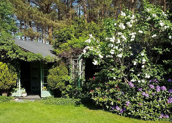 Letniskowy Na Kaszubach Lub Z Kominkiem