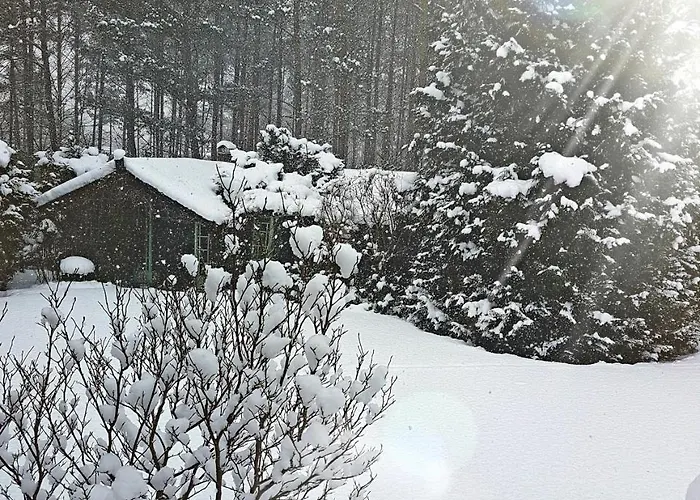 Letniskowy Na Kaszubach Lub Z Kominkiem Lodge Puck