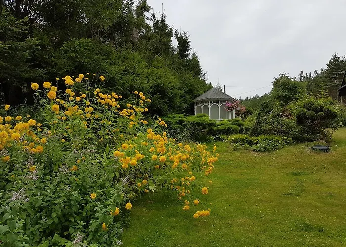 Letniskowy Na Kaszubach Lub Z Kominkiem Alojamento de Turismo Selvagem *